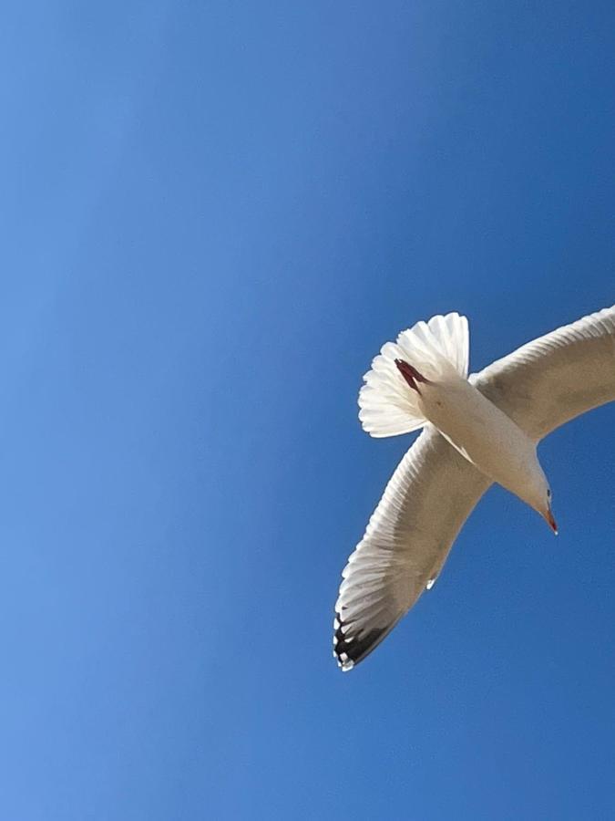 Atlantic Lodge نيوكويي المظهر الخارجي الصورة